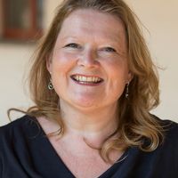 Distribution and bioavailability of anthropogenic microparticles in California's coastal ecosystems