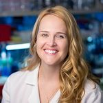 Keynote Presentation: Functionalizing Genome Editing Techniques on a Broad Range of Cellular Targets