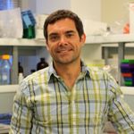 Lab-on-a-printer™ - a multi-material 3D bioprinting platform for building living tissues on demand