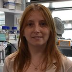 Patient Specific Brain Organoids for In Vitro Modeling of Parkinson's Disease