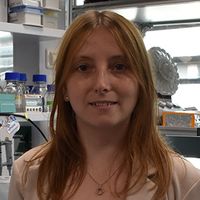 Patient Specific Brain Organoids for In Vitro Modeling of Parkinson's Disease