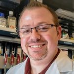 Epithelial-Mesenchymal Transition in the Crosshairs: Novel Treatments to Kill Drug Resistant, Metastatic Cells in Cancer