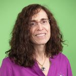 Cannabis for Arthritis:  How It Works, Who Uses It, and How Users Have Changed Over Time