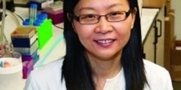 Protein phosphatase 2A in cell survival upon metabolic stress