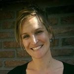 Evaluating the results of animal studies by means of Meta Analysis